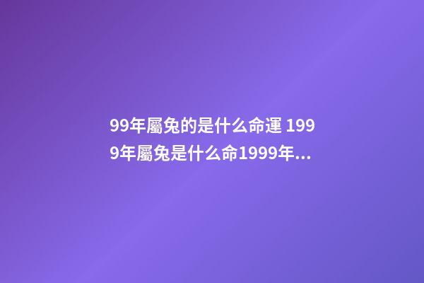 99年屬兔的是什么命運 1999年屬兔是什么命1999年屬兔人一生命運-第1張-觀點-玄機派